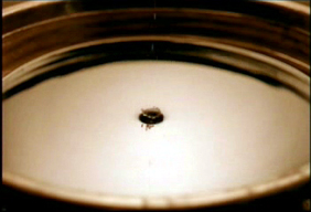 [Take a Bow screenshot 6]