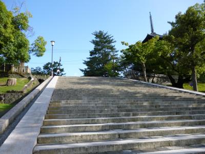 stairs to Kofuku Ji