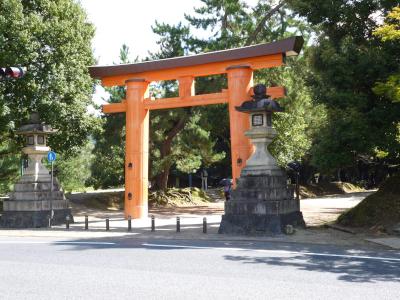 torii, Kasuga Taisha