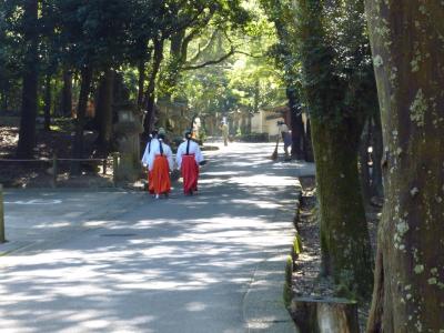 shrine maidens (miko), Kasuga Taisha