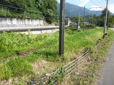 overgrown railway track near closed Kagaichinomiya Station