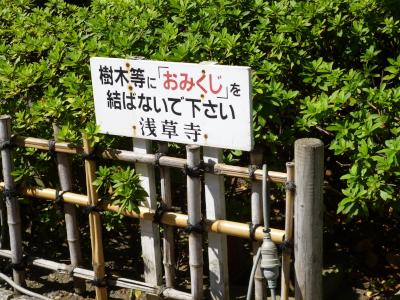please do not tie your unfavourable omikuji fortunes on these bushes