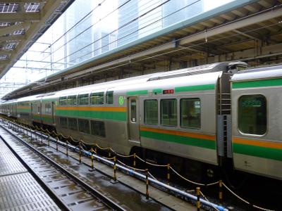 double-decker green (first-class) train cars