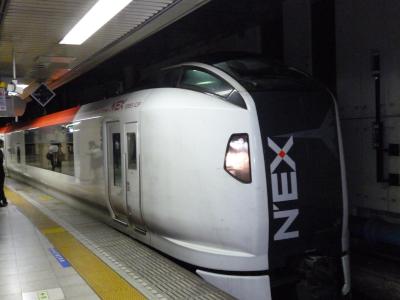 the Narita Express